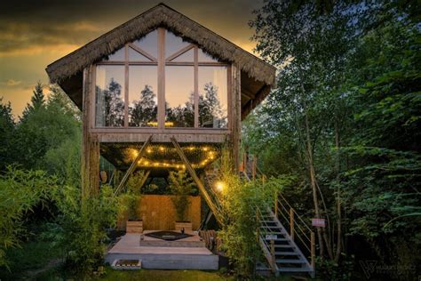 Cabane Sauvage – La cabane dans les arbres